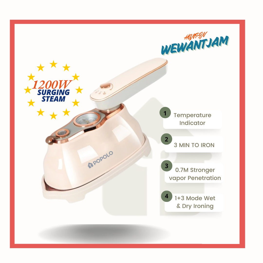 Handheld Garment Steam Iron